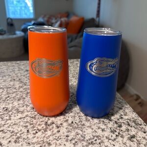 Gator Themed Insulated Flutes